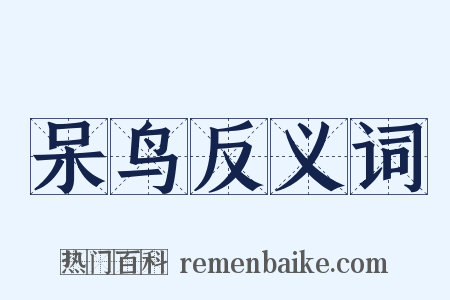 呆鸟反义词是什么意思的图片